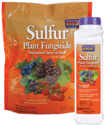 Sulfur Dust